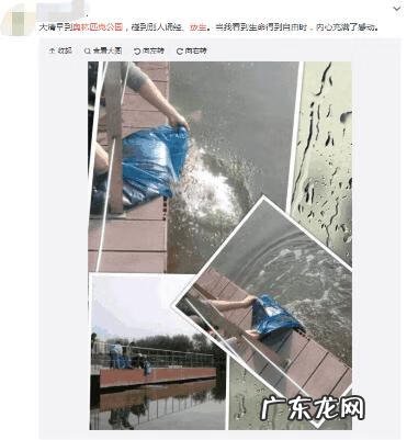 风水迷信害人不浅 放生人不信风水