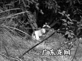 风水迷信害人不浅 放生人不信风水