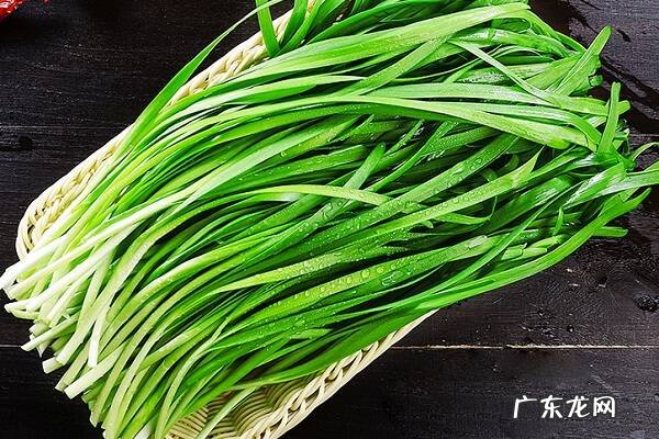 韭菜的功效与作用及营养价值有哪些