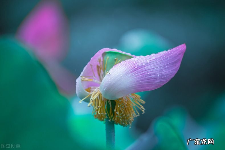 25首梅雨美醉了 关于写梅雨的唯美经典诗词