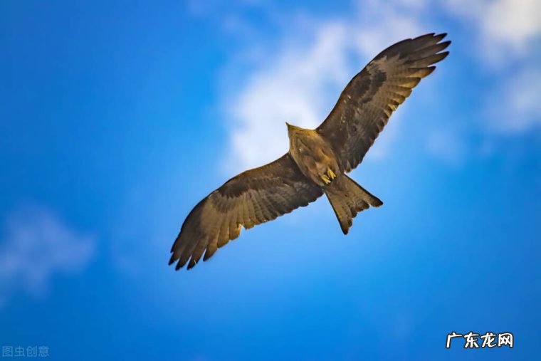 李白至死都是少年 贯穿李白的一生经历的七首诗