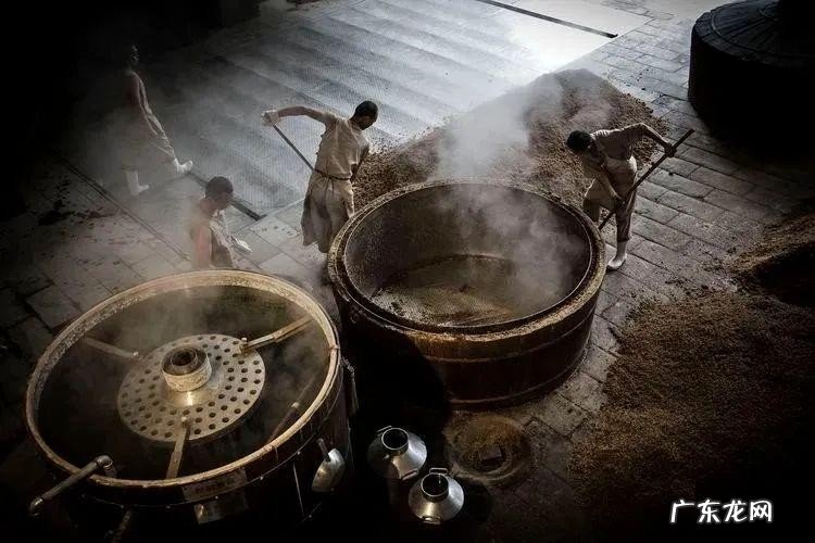 赖茅酒、荷花、1935乱象表现突出,为何看到各种各样的赖茅?