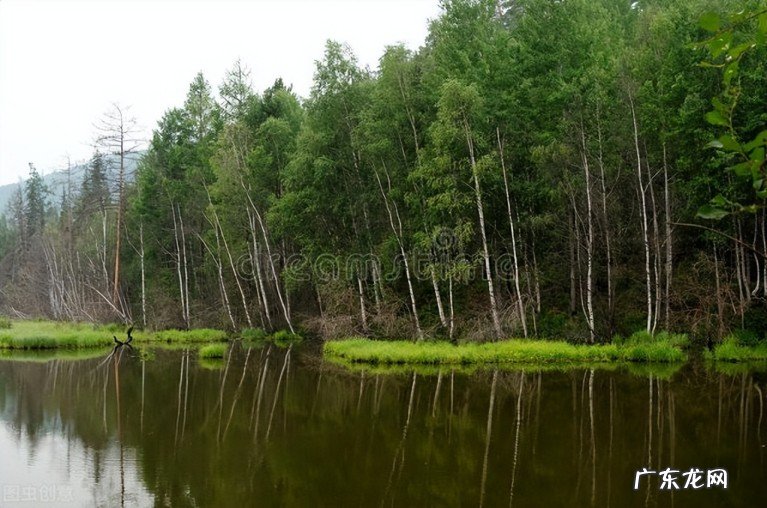 十二首诗词中春困夏倦阅读 关于形容春困的诗盘点