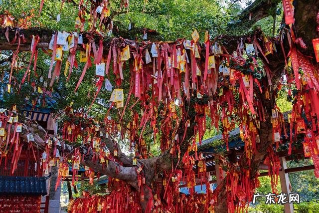 广州易经风水培训机构 佛山商业风水培训机构有哪些