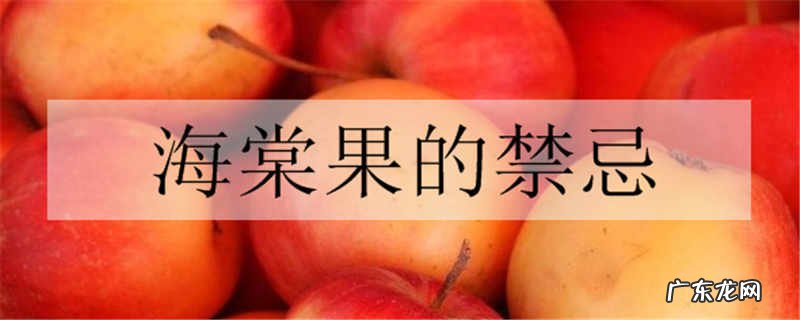 海棠果的禁忌