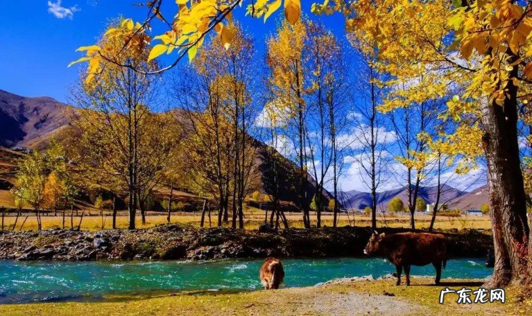 甘孜州旅游景点必玩的有哪些?川西金秋十月推荐几处不错景点