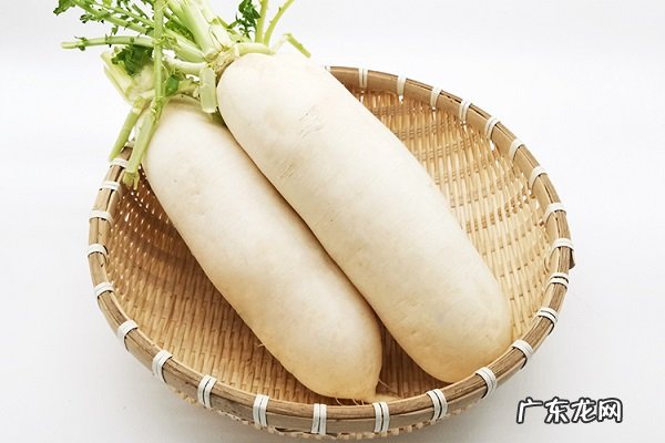 白萝卜的功效与作用及营养价值是什么