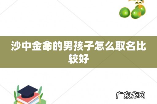 沙中金命的男孩子怎么取名比较好