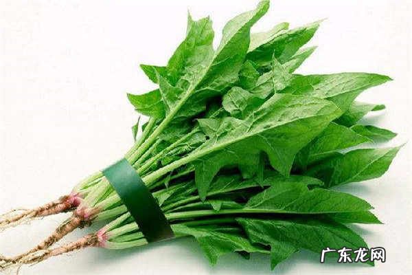 菠菜和虾能一起吃吗