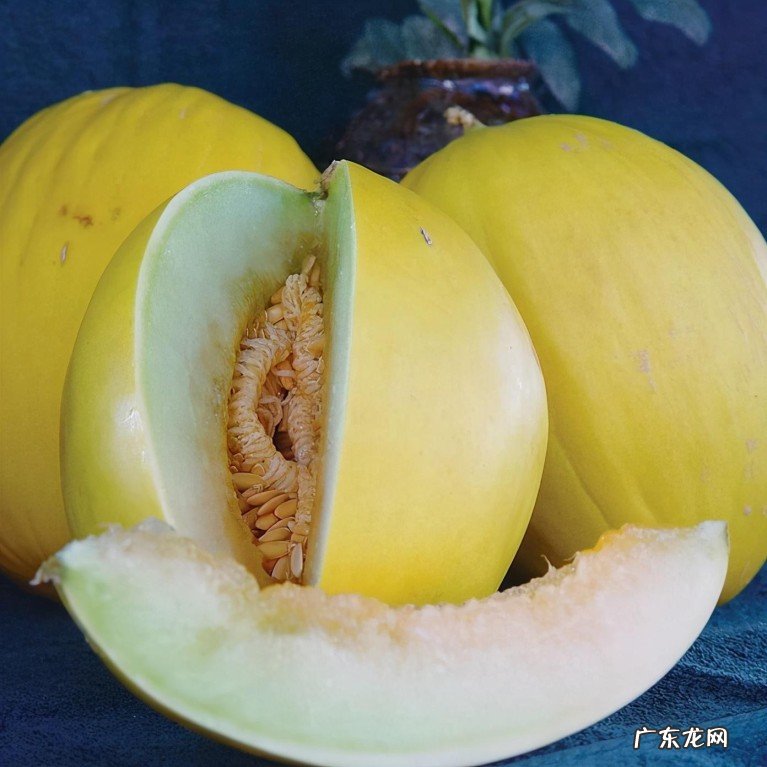 十大甜瓜品种目录名单 十大甜瓜品种大全