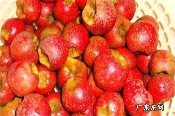 山楂的禁忌与副作用有什么功效