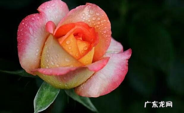 瞧不起别人的人 风水轮流转不要瞧不起别人的说说