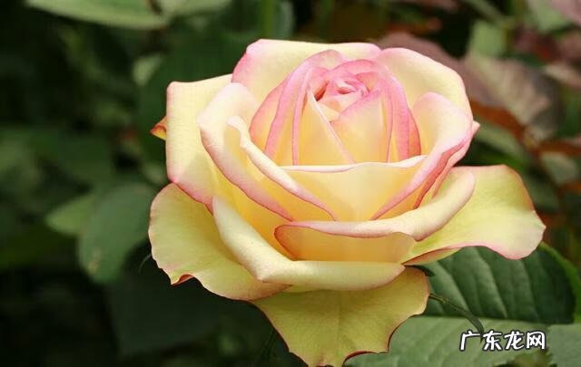 瞧不起别人的人 风水轮流转不要瞧不起别人的说说