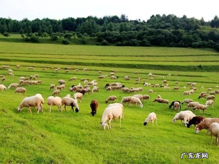 甘肃天水九大旅游景点推荐 甘肃天水旅游景点大全