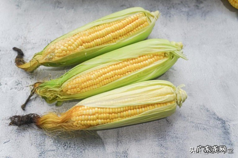 玉米价格最新行情预测 现在的玉米价格是多少钱一斤