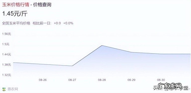 玉米价格最新行情预测 现在的玉米价格是多少钱一斤
