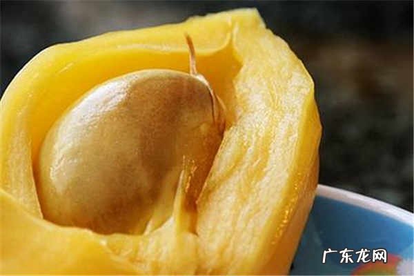 菠萝蜜核吃了中毒吗有什么功效作用