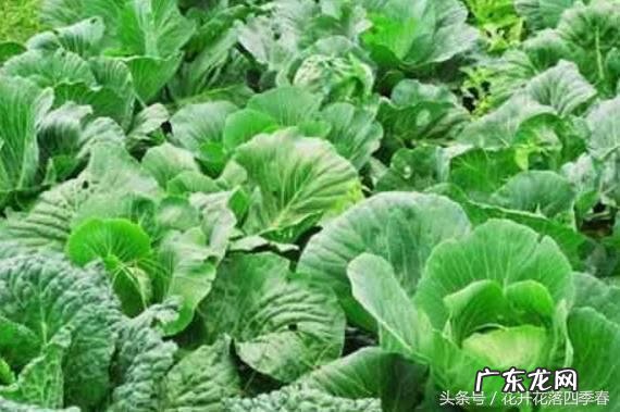 风水学是不是迷信 漏水在风水学