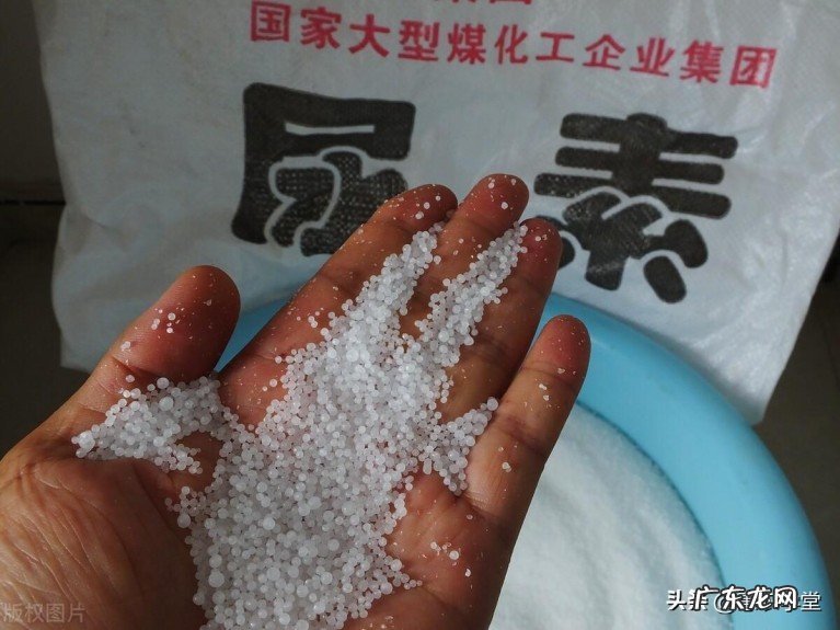 尿素最新行情走势分析 现在尿素价格批发多少钱一吨