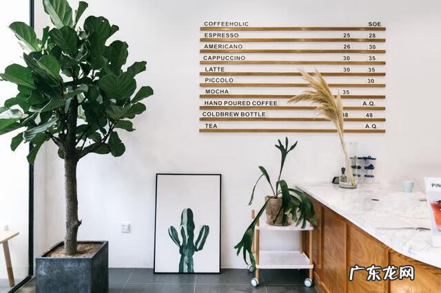 风水有问题怎么化解 哪些绿植可以化解风水问题的