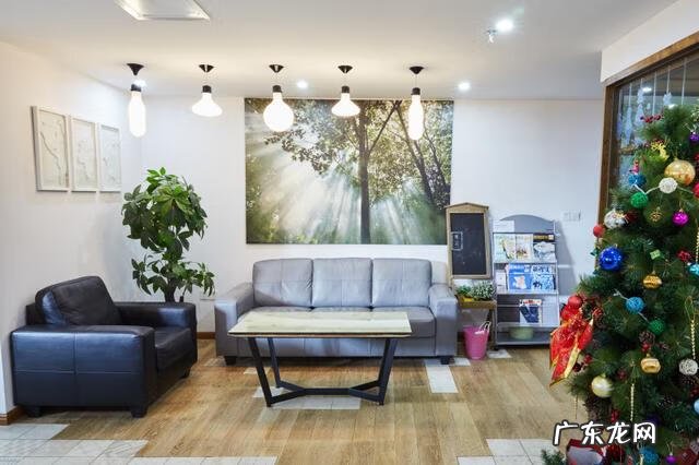 风水有问题怎么化解 哪些绿植可以化解风水问题的