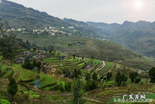平昌县灵山镇金星村书记 风水镇荣保村党员名单