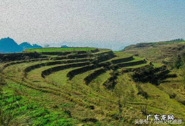 平昌县灵山镇金星村书记 风水镇荣保村党员名单