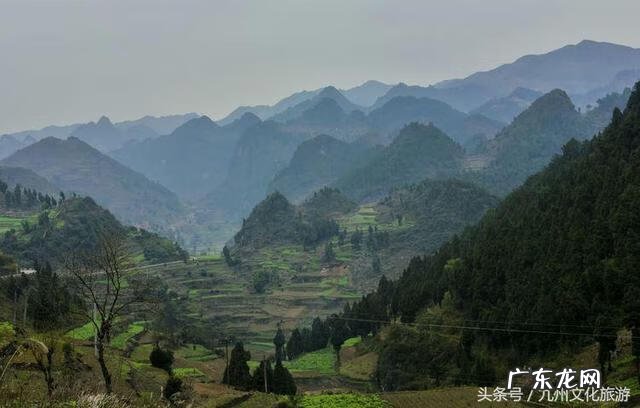 平昌县灵山镇金星村书记 风水镇荣保村党员名单