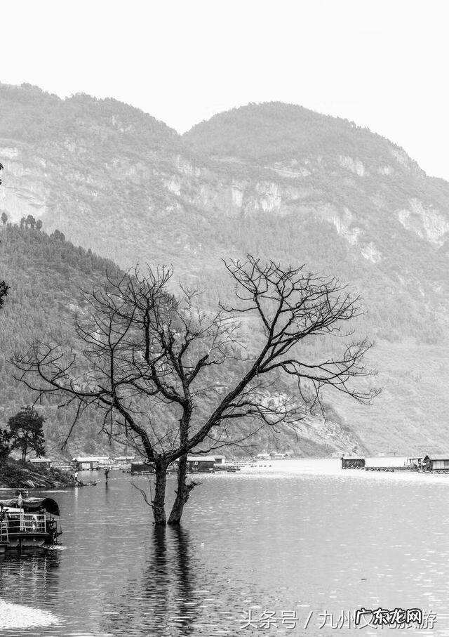 平昌县灵山镇金星村书记 风水镇荣保村党员名单