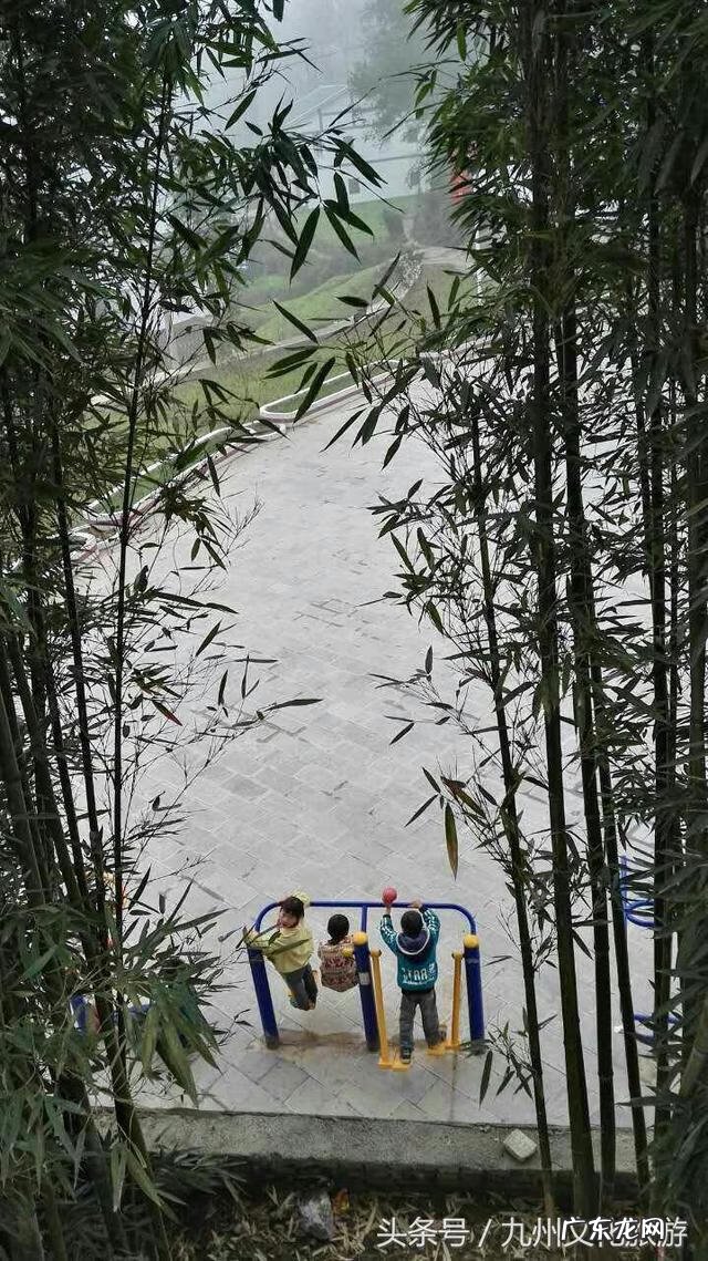 平昌县灵山镇金星村书记 风水镇荣保村党员名单