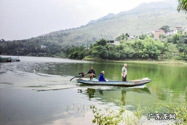 平昌县灵山镇金星村书记 风水镇荣保村党员名单
