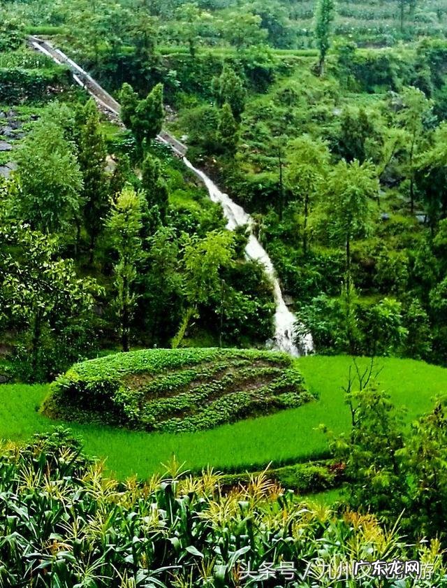 平昌县灵山镇金星村书记 风水镇荣保村党员名单