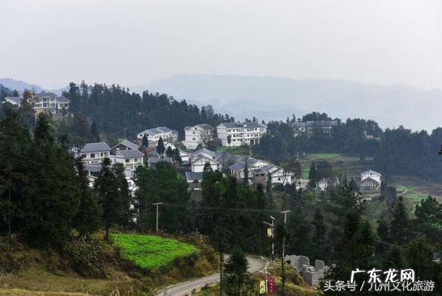 平昌县灵山镇金星村书记 风水镇荣保村党员名单