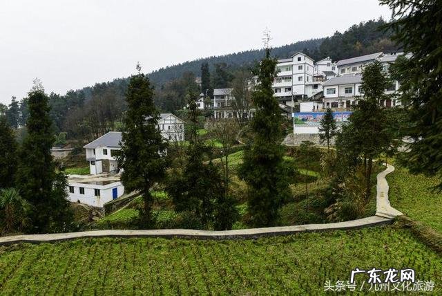 平昌县灵山镇金星村书记 风水镇荣保村党员名单