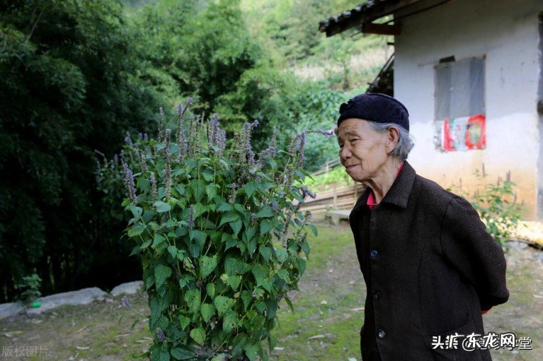 今年城乡低保标准是多少?2022年低保住院报销比例是多少?