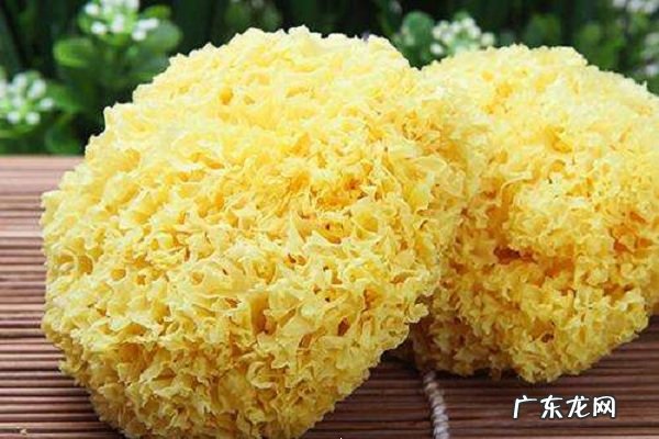 吃银耳最佳时间什么时候吃最好