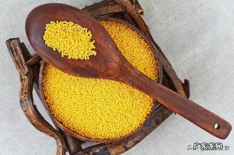 黄米和小米到底有什么区别?黄米主要用来做什么吃的?