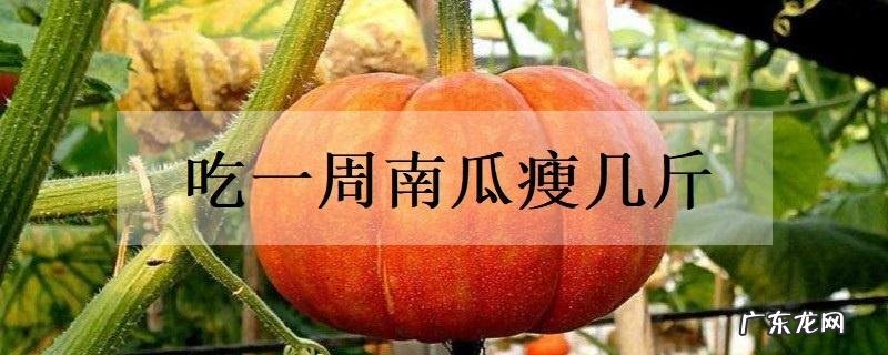 吃一周南瓜瘦几斤