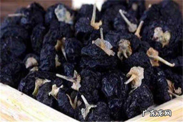 黑枸杞泡水喝的禁忌需要注意什么