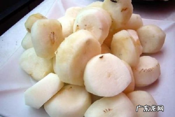 女人吃马蹄有什么好处正确食用方法有哪些