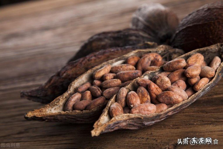 咖啡豆和可可豆的区别是什么?为什么咖啡豆做不成巧克力?