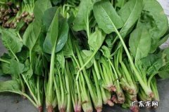 虾和菠菜可以一起吃吗两者同吃有什么影响