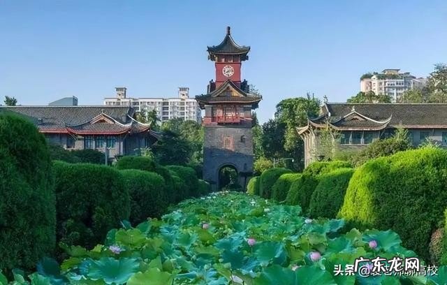 两校优势学科对比 电子科技大学和四川大学排名哪个好