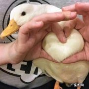 帝师讲风水 帝师保险箱风水