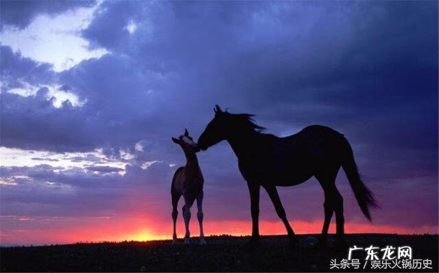红蜻蜓象征什么 风水中出现红蜻蜓是什么意思啊