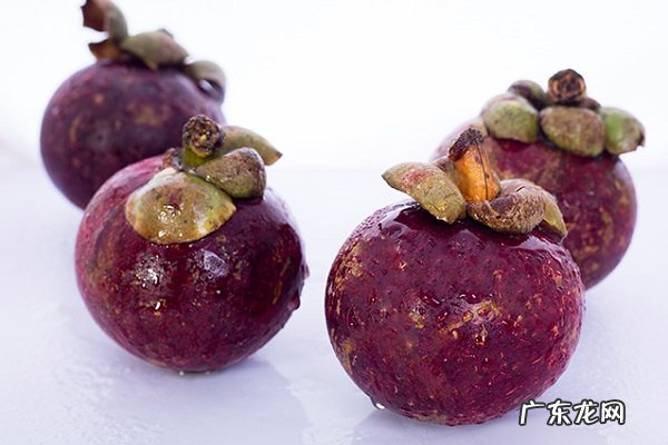 山竹的功效与作用及营养价值有哪些