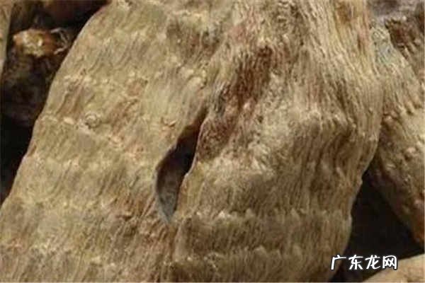 吃天麻的禁忌泡水喝的功效是什么