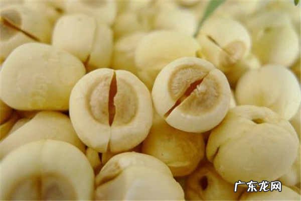 莲子的功效与作用怎么吃