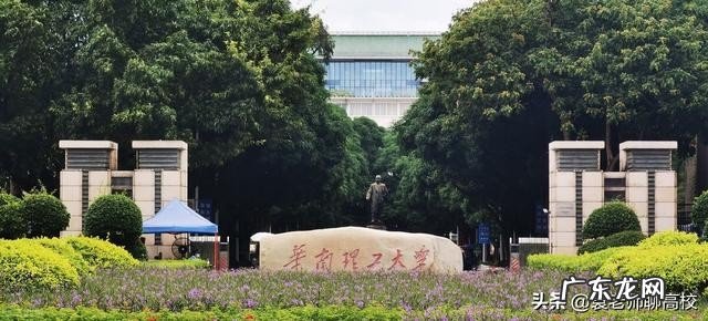 华中科技大学和华南理工大学专业哪所学校实力更强?