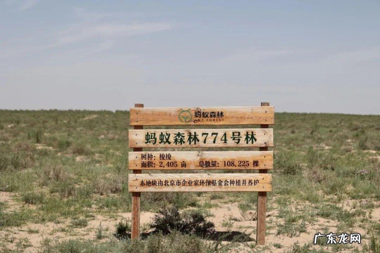 阿左旗和阿右旗旅游景点盘点 阿拉善盟旅游有哪些好玩的地方